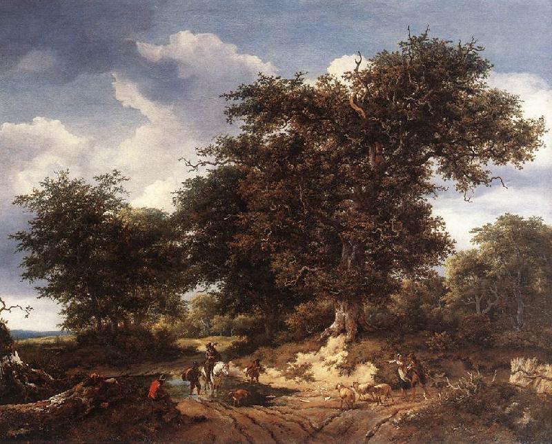 RUISDAEL, Jacob Isaackszon van The Great Oak af Germany oil painting art